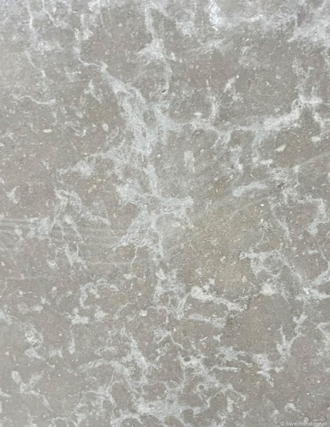 Detal wapienia Atlantic Blue w wykończeniu brushed, drobnoziarnista struktura i subtelne przejścia tonalne.