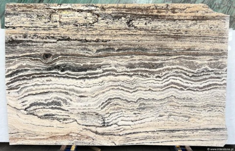 Płyta Trawertynu White Titanium z kontrastowym biało-grafitowym warstwowaniem w wykończeniu brushed.