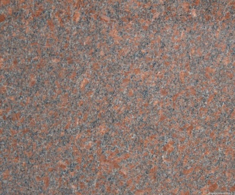 Zbliżenie granitu Santiago Red poler, drobnoziarnista czerwono-szara struktura z ciemnymi wtrąceniami
