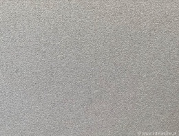 Granit - Silver Bianco płomień