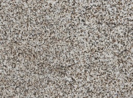 Zbliżenie powierzchni granitu Silvestre Gold poler – drobne beżowe i ciemne ziarna na jasnym tle.