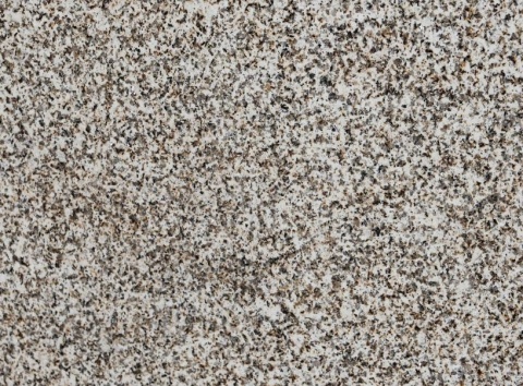 Zbliżenie powierzchni granitu Silvestre Gold poler – drobne beżowe i ciemne ziarna na jasnym tle.