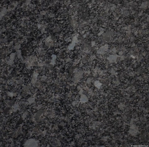 Detal granitu Steel Grey poler – ciemnoszary konglomerat ziarnisty z większymi, jasnoszarymi kryształami.