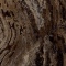 Marazzi Grande M0G3 Marble Look Frappuccino Rt 120x120 cm lux - 6mm