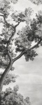 Marazzi Grande MA02 Resin Look Grisaille C Silky Rt 120x278 cm satin - 6mm