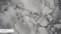 Zbliżenie powierzchni kwarcytu Super White z białymi i szarymi strukturami mineralnymi.