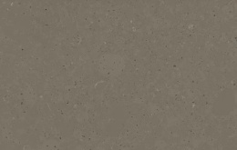 Silestone Brass Relish przedstawiająca ciepłą taupe powierzchnię z drobnymi mineralnymi ziarnami