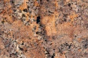 Bordeaux Poler 20 i 30 mm – brazylijski granit o czerwono-pomarańczowym rysunku z ciemnymi minerałami.