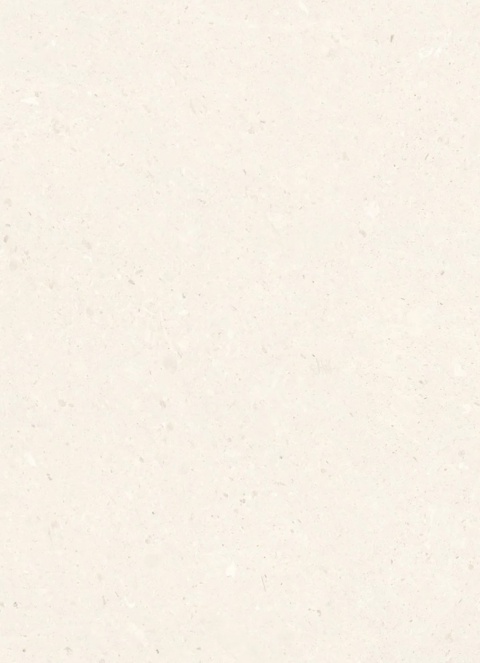 Neolith Pale Fossil Honed – widok całej powierzchni w jasnej kremowo-beżowej kolorystyce
