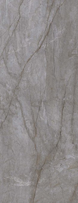 TRI-D VISIONER GREY  to szary spiek kwarcowy